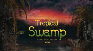 tropical swamp